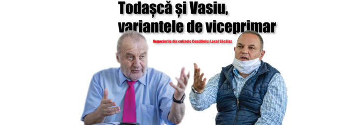 liviu vasiu și ilie todașcă