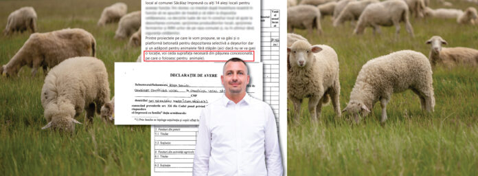 Daniel Roba, președinte PRO Români Săcălaz