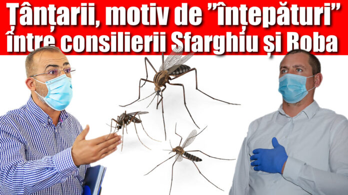 catalin sfarghiu si daniel roba sacalaz
